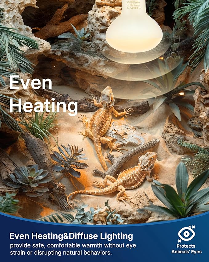 FLSNT Heat Bulb Lamp, 2-Pack 100W Daylight Basking Spot, Bearded Dragon/Turtle/Lzard/Gecko Light Bulb, UVA Heat Lamp, Basking Light for Reptiles RA80