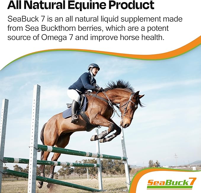 SeaBuck 7 Equine Supplement for Horses with Sea Buckthorn to Improve Horse Health (3-6 Week Supply, 1 Gallon) – Supports Healthy Eating & Digestion, Increased Energy/Focus, & Shiny Coats for Horses