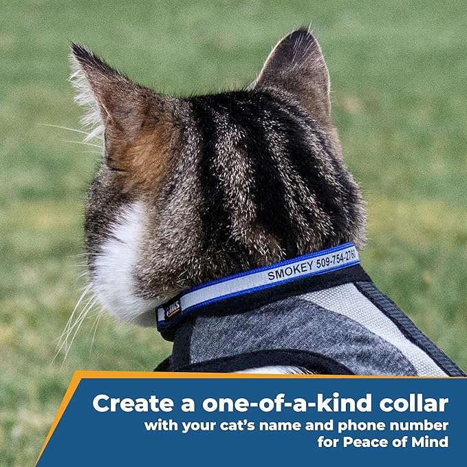 GoTags Personalized Reflective Cat Collars, Engraved Custom Cat Collar with Name and Phone Identification, Breakaway Collar with Safety Release Buckle and Bell, Adjustable for Cats and Kitten, (Pink)