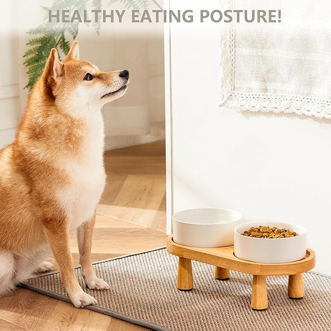 Ceramic Elevated Dog Bowls, Pet Food and Water Bowl Set for Small Dogs and Cats, 1.7 Cups Elevated Cat Bowls with Wood Stand, 14OZ, White