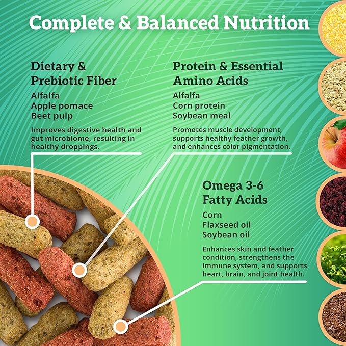 Scenic Mix Jungle Premium Parrot Food - Apple, Natural Flavors, High Protein, Low Iron Bird Pellets for Large Parrots, Macaw Food, Cockatoo & African Grey Parrots, Omega 3, Vitamins, 2lb (Pack of 2)