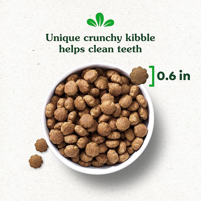 Greenies Smart Essentials Large Breed Adult High Protein Dry Dog Food Real Chicken & Rice Recipe, 15 lb. Bag