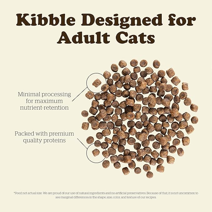 Now Fresh Grain-Free Dry Cat Food with Turkey, Salmon & Duck, Healthy Kibble for Adults Made with Real Meat & Fish, Chicken-Free, with Pumpkin & Probiotics for Sensitive Stomachs, 3 lb Bag