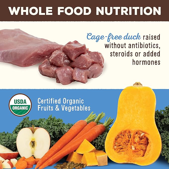 Primal Freeze Dried Raw Dog Food Nuggets, Duck, Complete & Balanced Meal, Also Use as Topper or Treat, Premium, Healthy, Grain Free, High Protein Raw Dog Food, 14 oz