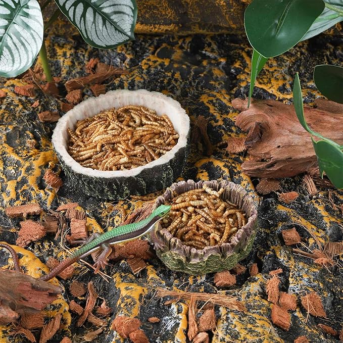 IBWell 2pcs Reptile Water Bowl with Feeding Tweezers Reptile Food Dish for Lizard Snake Tortoise Reptile Feeding Dish for Small Animals - Gray Tree Stump