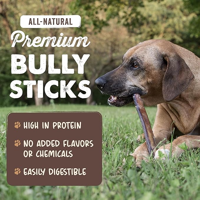 Mighty Paw Naturals Bully Sticks for Dogs - Grass Fed Beef Chews. Dog Bully Sticks for Large Pets, Medium and Small Breeds. Lower Odor Treats for Small Pets. Single Ingredient (12" - 5 Pack)