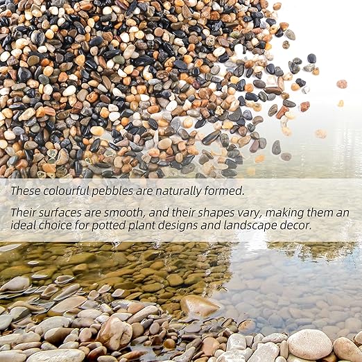 CJGQ 2.4lb 1/2" Pebbles for Plants Potting,Succulents Aquarium Fish Tank Vases-Decorative River Rocks Garden Gravel Stones