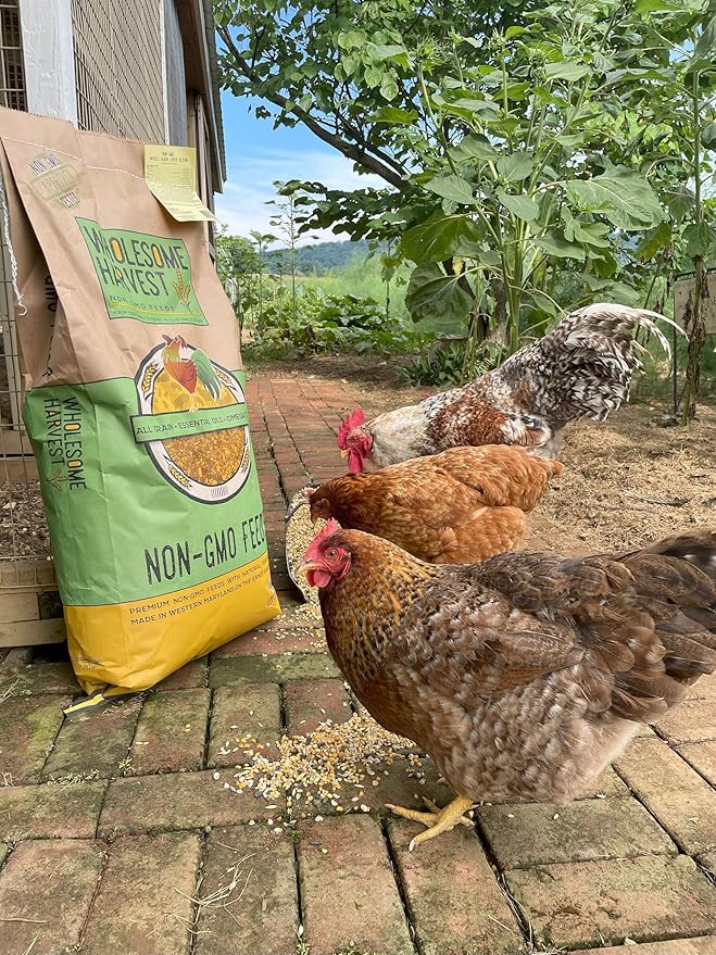 Homestead Harvest Non-GMO Whole Grain Layer Blend 16% for Laying Hens or Ducks 25lb