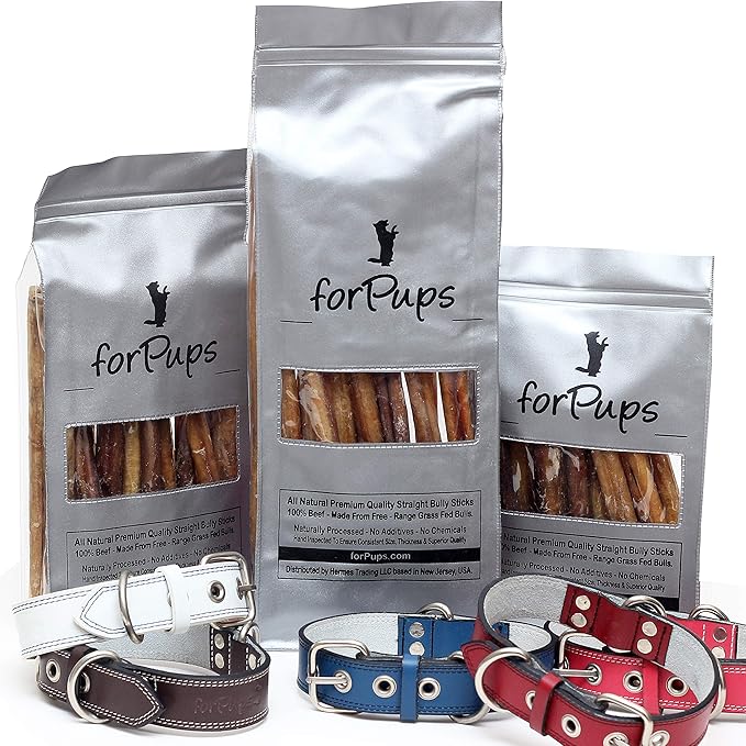 Jumbo 10"-12" Bully Sticks (2 POUNDS) for Large Dogs, for Extreme Chewers, Natural, Fully Organic, 100% Beef Pizzle Chew, Fully Digestible Dental Treat (10-12 inch, 2 lb / 32 oz)