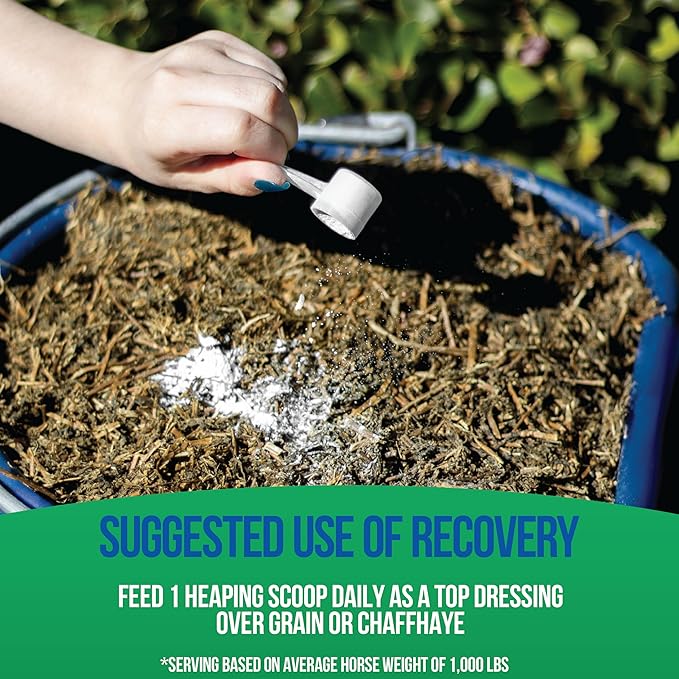 Equine Total Recovery Horse Supplement - 9 Equine Amino Acids Plus Probiotics for Horses -100% Natural- No Added Sugar, No Soy, No Fillers - Horse Joint Support Supplement (100 Servings)
