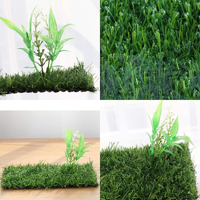crapelles Small Glass Frog Terrarium Kit, 7.8x7.8x5.9'' for Tadpole, Amphibians, Insects Enclosure, Praying Mantis Habitat, with Green Artificial Turf Pad (excluding Animals)