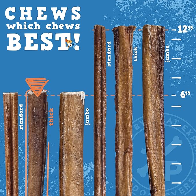 Jack&Pup 6-inch Thick Bully Sticks for Dogs (24 Pack) Single Ingredient, Thick Bully Sticks | Long Lasting Pizzle Sticks for Medium and Small Dogs