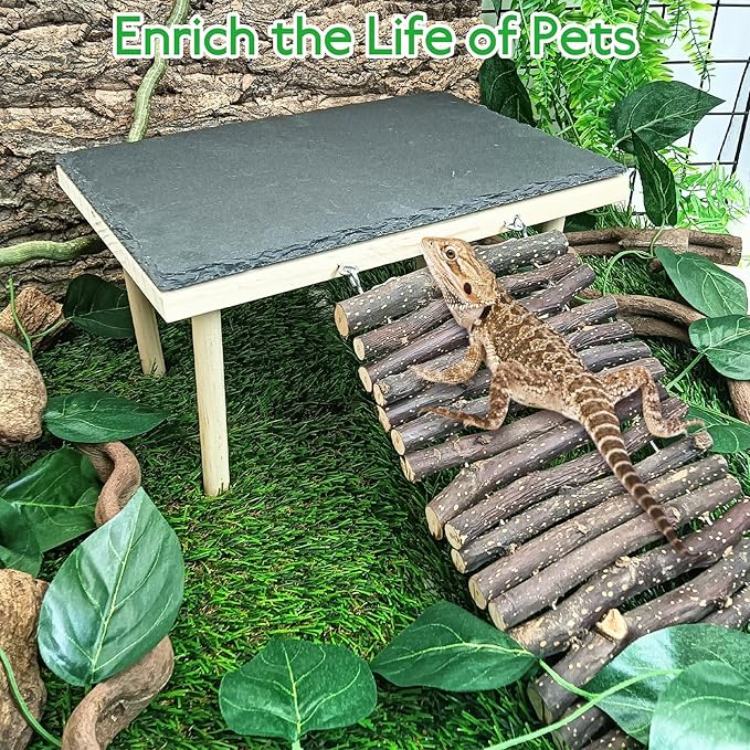 BNOSDM Basking Rock Platform with Climbing Ramp Reptiles Hideout Bearded Dragon Hide Cave Reptile Tank Accessories Suit for Tortoise, Lizard, Toad, Gecko (Large)