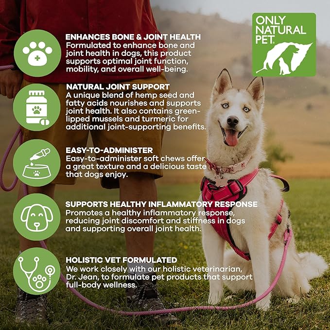 Only Natural Pet Hemp Hip & Joint Support for Dogs - Supplement for Mobility Wellness Pain Relief Healthy Inflammatory & Bone Stiffness - Chews w/Fatty Acid Blend Mussels & Turmeric - 60 Count (H/J)