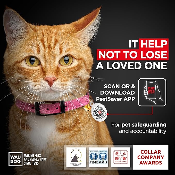 Leather Cat Collar with Bell & Elastic Strap - Pet Collar Leather - Leather Kitten Collar - Cats Small and Big Cat Collar for Boy Cats, Girl Cats with Safety Elastic Strap (Pink, 6" - 8")