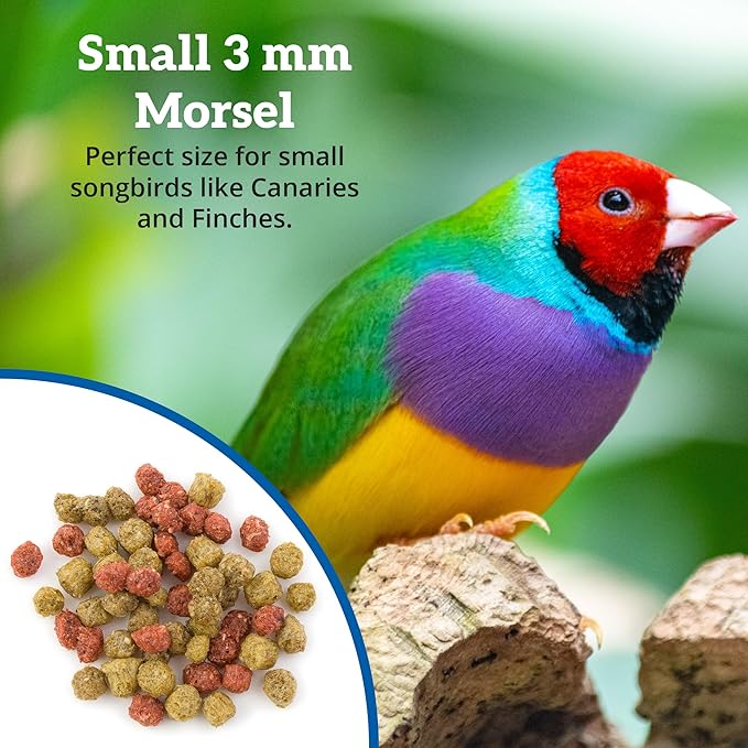 Scenic Allprem Canary and Finch Bird Food | Formulated Diet | Apple and Corn Flavor | 2 Pound Bag (2 LB)