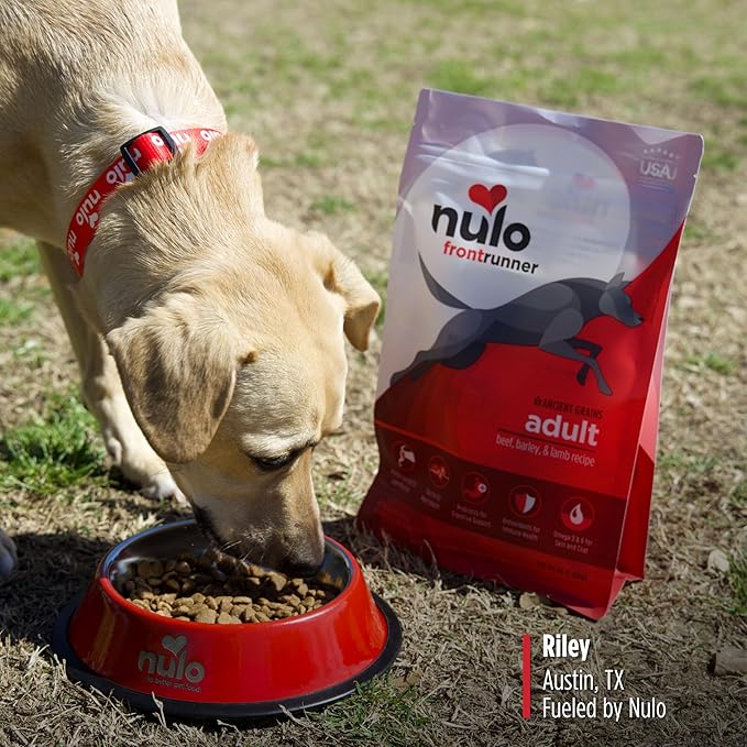 Nulo Frontrunner Ancient Grains High-Protein Dog Food, Beef, Barley, & Lamb Recipe- Natural Dry Dog Food with Probiotics, Grain-Inclusive Kibble for Adult Dogs, 5 lb Bag