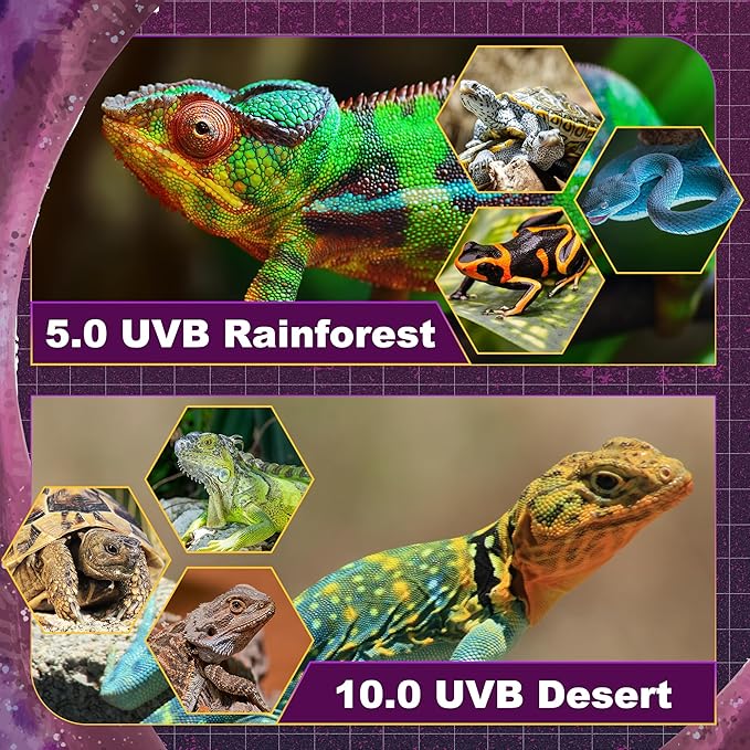 T5 HO UVB Lighting Combo Kit, 39W Reptile Light Fixture with Fluorescent Light Bulbs, Desert 10.0 UVB Light for Reptiles and Amphibians, Basking Light for Bearded Dragon, High Output Natural Light