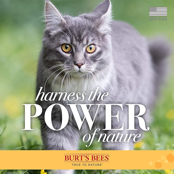 Burt's Bees for Pets Cat Dander Wipes with Colloidal Oat Flour, 98% Natural Origin Formulas, Cats Dandruff Remedy, Feline Cleansing Sheets for Allergy Relief, 3pk, 50ct