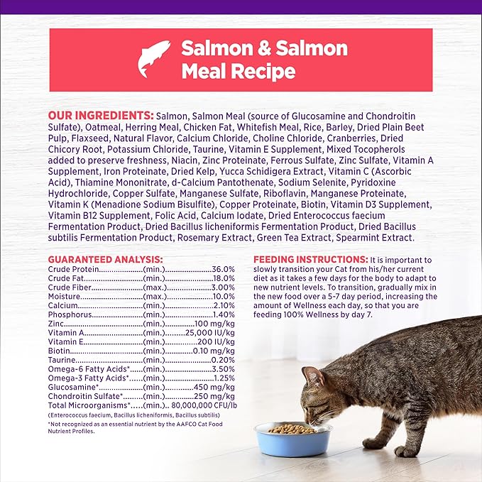 Wellness Complete Health Adult Dry Cat Food for Indoor and Outdoor Cats, Wholesome Grains, Natural, Salmon & Salmon Meal (5 Pound Bag)