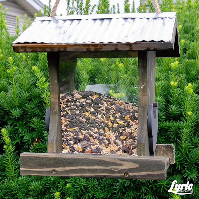 Lyric Supreme Wild Bird Seed - Wild Bird Food Mix with Nuts & Sunflower Seeds - Attracts Many Beautiful Songbirds - 20 lb. Bag