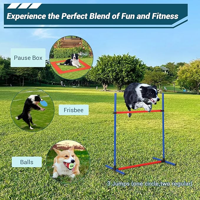 Dog Agility Training Equipment, Perfect Obstacle Course Backyard Set with Tunnel, 2 Agility Hurdle, 8 Weave Poles, Jump Ring, Pause Box, Toy Balls and Storage Bag, Dog Outdoor Game Sets (87 PCS)