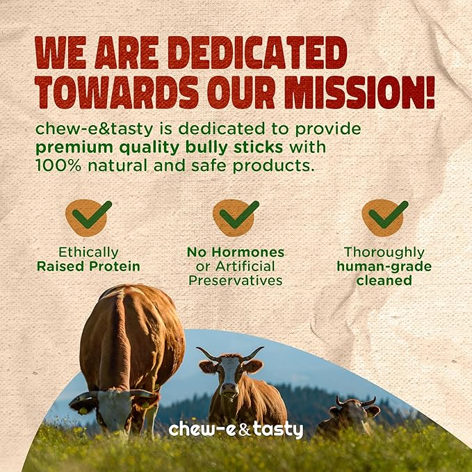 chew-e&tasty 12" Monster Odor Free Bully Sticks (Pack of 2) - Long Lasting Beef Chews - Made of Digestible High Protein & Low Fat Dental Treats Bully Sticks for Large to Very Large Dogs