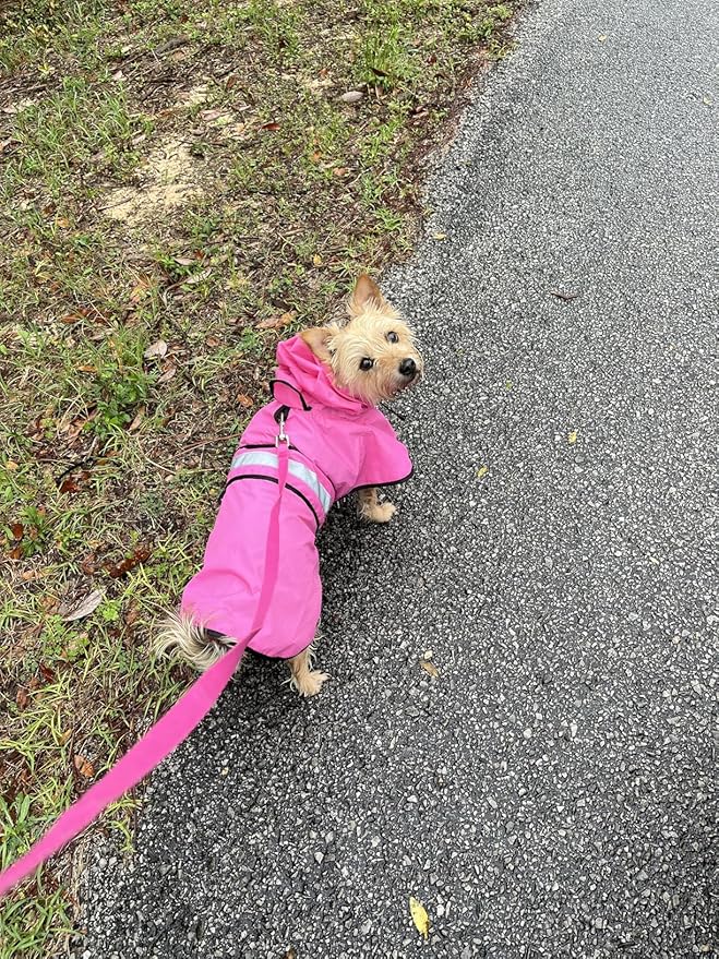 Candofly Dog Raincoat Reflective Dog Rain Jacket Waterproof Hooded Ponch Rain Coat for Small Medium Large Dogs (Pink, Medium)