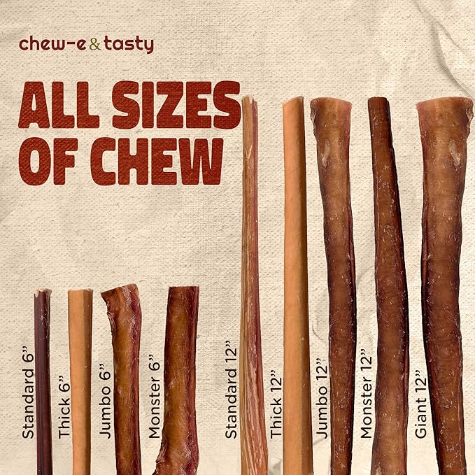 chew-e&tasty 12" Monster Odor Free Bully Sticks (Pack of 5) - Long Lasting Beef Chews - 100% Beef Single Ingredient Made of Digestible High Protein & Low Fat Dental Treats for Large - Very Large Dogs