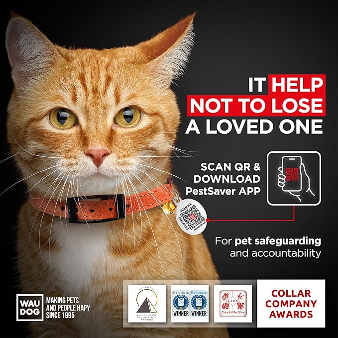 Leather Cat Collar with Bell and Safety Elastic Strap Breakaway Alternative for Small & Large Kittens, Stylish Pet Leather Collar for Boy, Girl Cats with Metal Buckle & QR ID Tag (Orange)