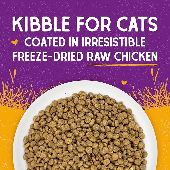 Stella & Chewy's Raw Coated Cat Food - High Protein, Grain-Free Kibble with Cage-Free Chicken - Premium Digestive Support with Probiotics - Natural Small Kibble - Perfect For Picky Eaters - 5 lb Bag
