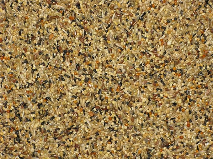 Small Bird Aviary, 2 kg (4.4 lbs) Pour Spout Bag