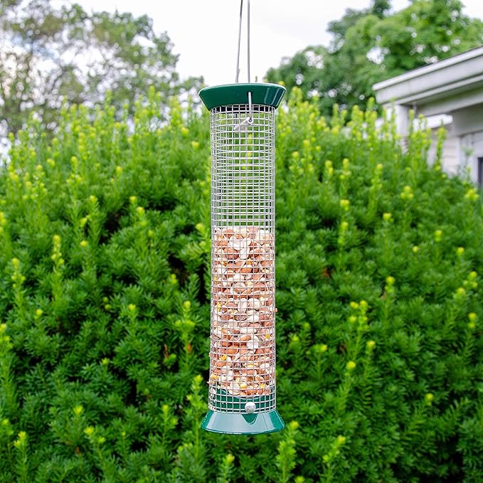 Lyric Woodpecker Wild Bird Seed, No Waste Bird Seed with Nuts, Dried Fruit & Shelled Seeds - 20 lb. Bag