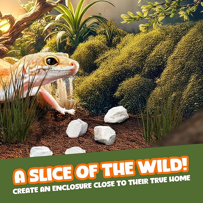 CoCoo Mineral Rocks for Leopard and Crested Geckos, Reptile Enrichment, Terrarium Decor, with Lime, Calcium, and Trace Elements, 2 oz.