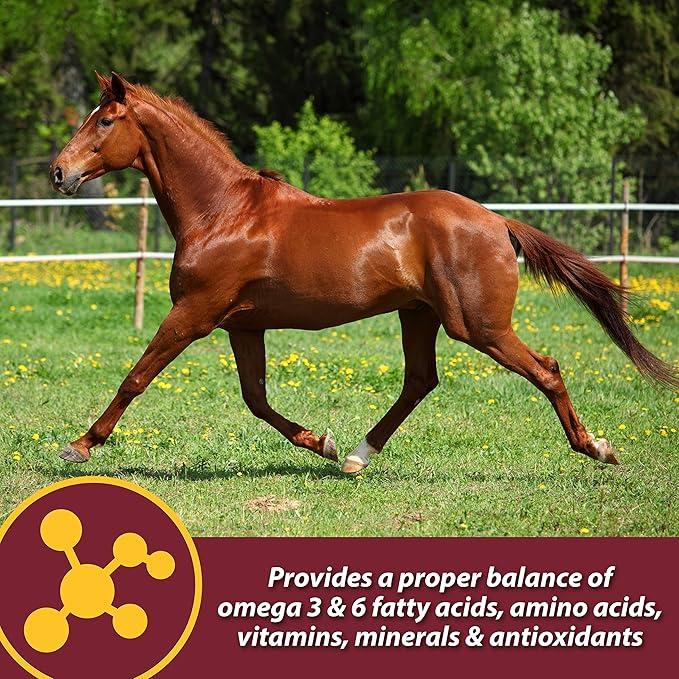 Farnam Laser Sheen Skin & Coat Supplement for Horses, Promotes Healthy Skin & Radiant Coat from The Inside Out, 7.5 Pound, 60 Day Supply