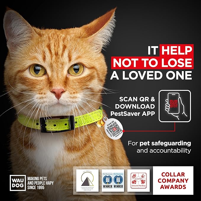 Leather Cat Collar with Bell and Safety Elastic Strap Breakaway Alternative for Small & Large Kittens, Stylish Pet Leather Collar for Boy, Girl Cats with Metal Buckle & QR ID Tag (Green)