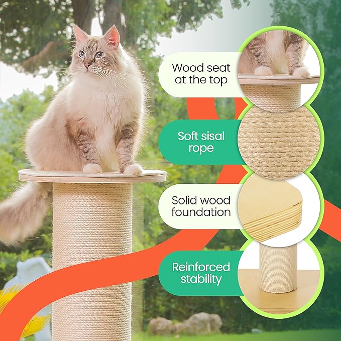 50" Tall Cat Scratching Post, Extra-Large Cat Scratch Post for Biggest Cats (Maine Coon), 7.3” Thick Post, 36lbs Weight, Solid Wood Base & Natural Sisal Rope