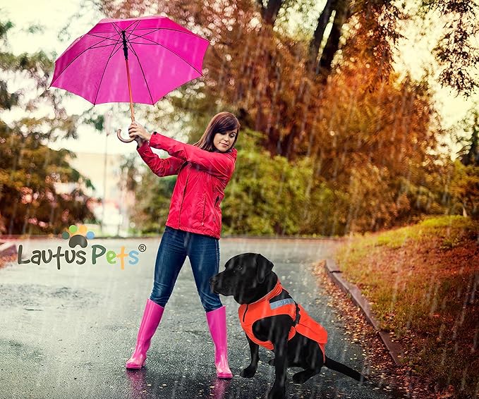 Dog Rain Coat - Waterproof, Reflective, Bright Orange with Leash Hole (M, Orange)