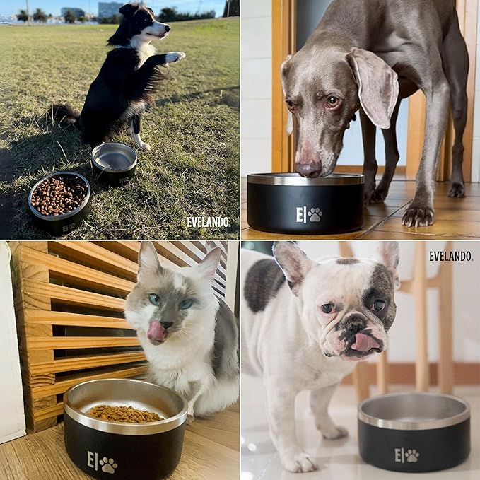 EVELANDO® 32 oz Premium Stainless Steel Pet Bowl with Triple Layer Insulation Keeps Food Warm and Water Fresh Non Slip Silicone Base BPA Free Elegant Dish for Small and Medium Dogs or Medium Cats