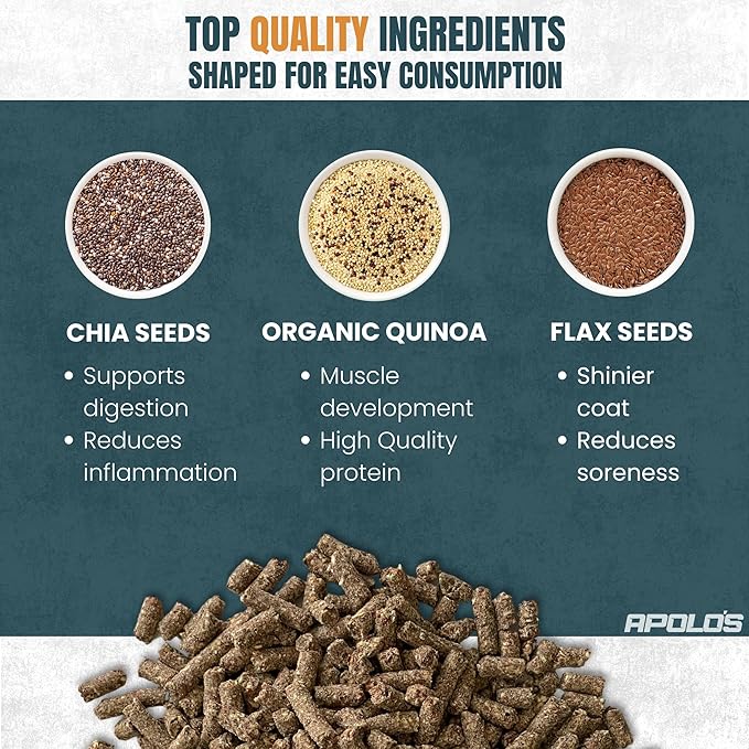 Greenfit APOLO'S 100% Natural Horse Supplement for Daily Feeding – Joint Support, Coat Shine & Strength | Flaxseed, Quinoa, Chia | 10 LB Bag