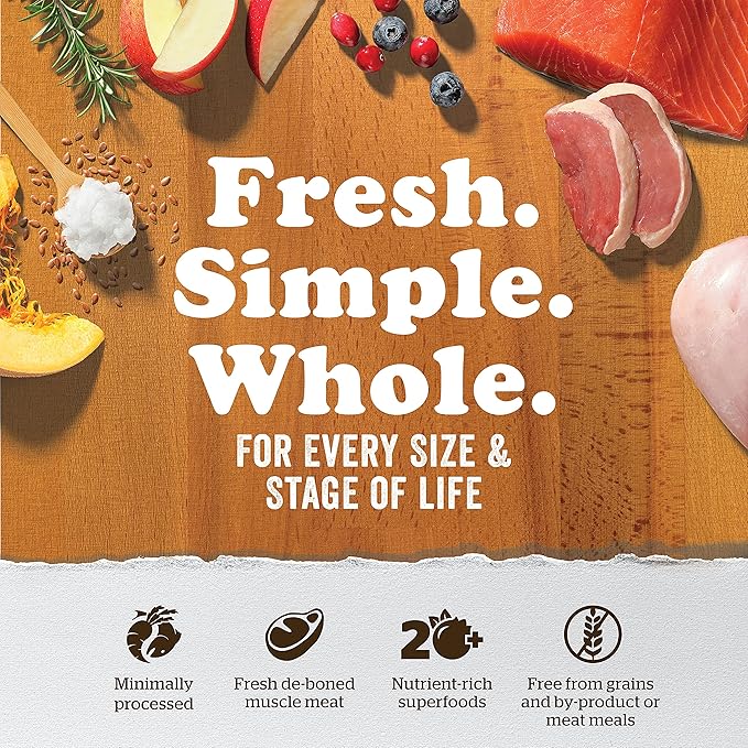 Now Fresh Grain-Free Dry Cat Food with Turkey, Salmon & Duck, Healthy Kibble for Adults Made with Real Meat & Fish, Chicken-Free, with Pumpkin & Probiotics for Sensitive Stomachs, 3 lb Bag