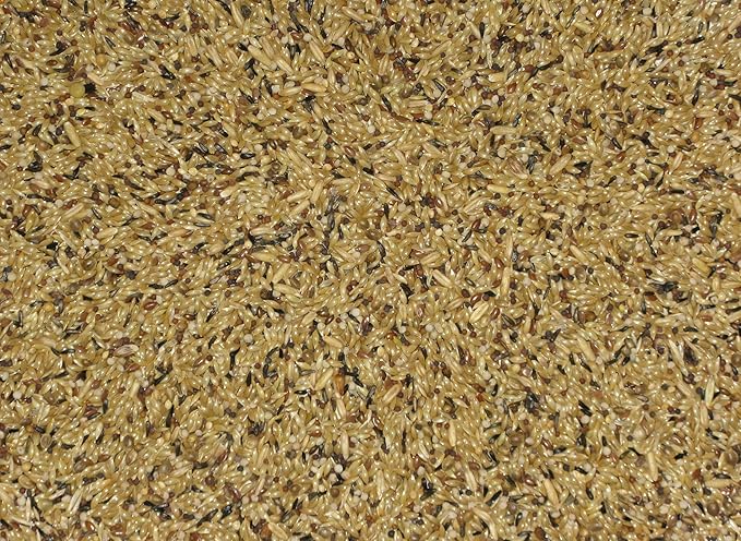 Canaries (Color & Type), 2 kg (4.4 lbs) Pour Spout Bag