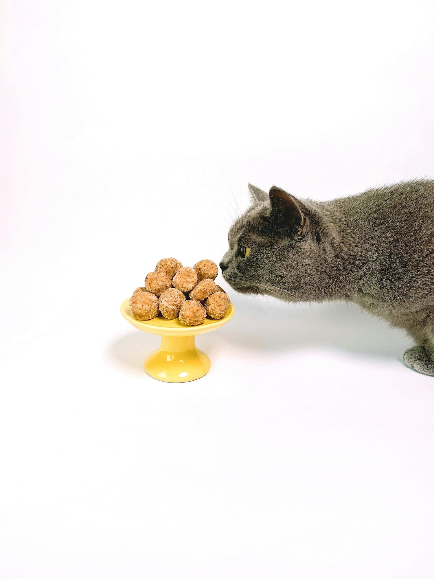Gluten-free dry cat food for healthy digestion and soft fur