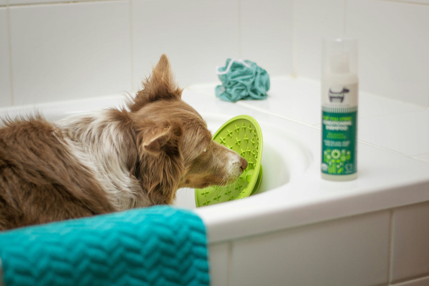 Gentle 2-in-1 dog shampoo and conditioner for sensitive skin