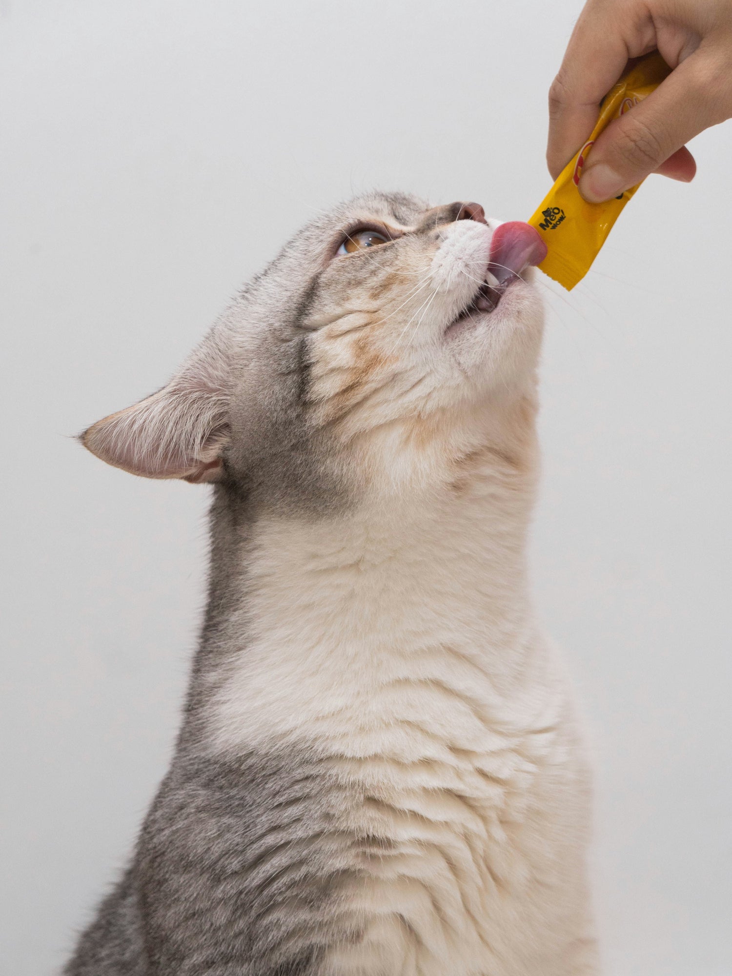 Creamy lickable cat treats in convenient single-serve packs