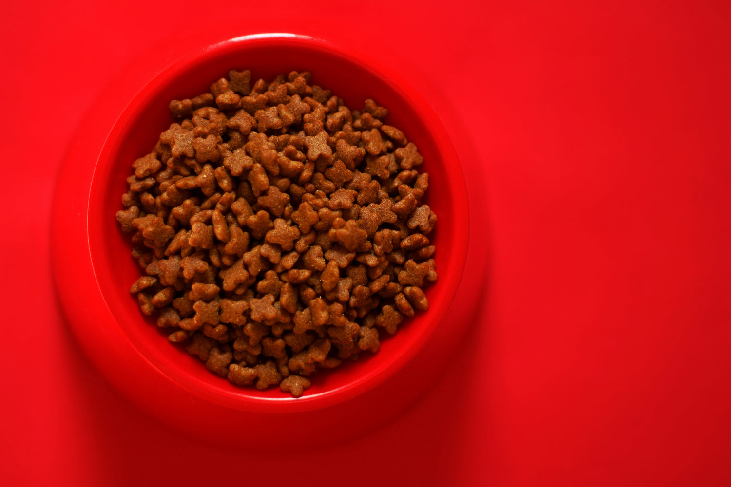 Hypoallergenic cat food for allergy relief and sensitive digestion