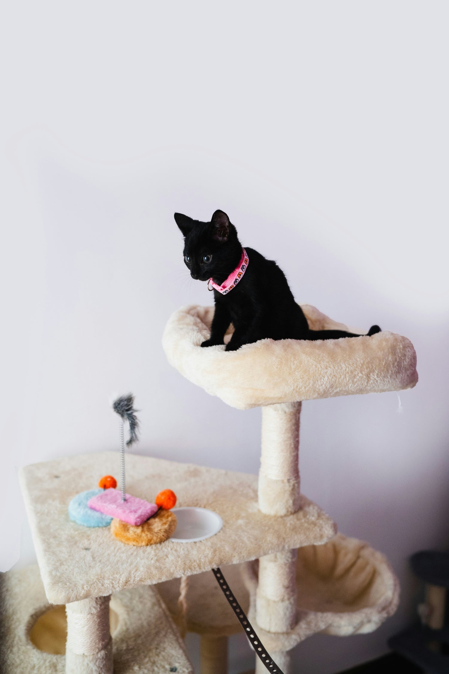 Multi-level cat tower with scratching posts and cozy hammock