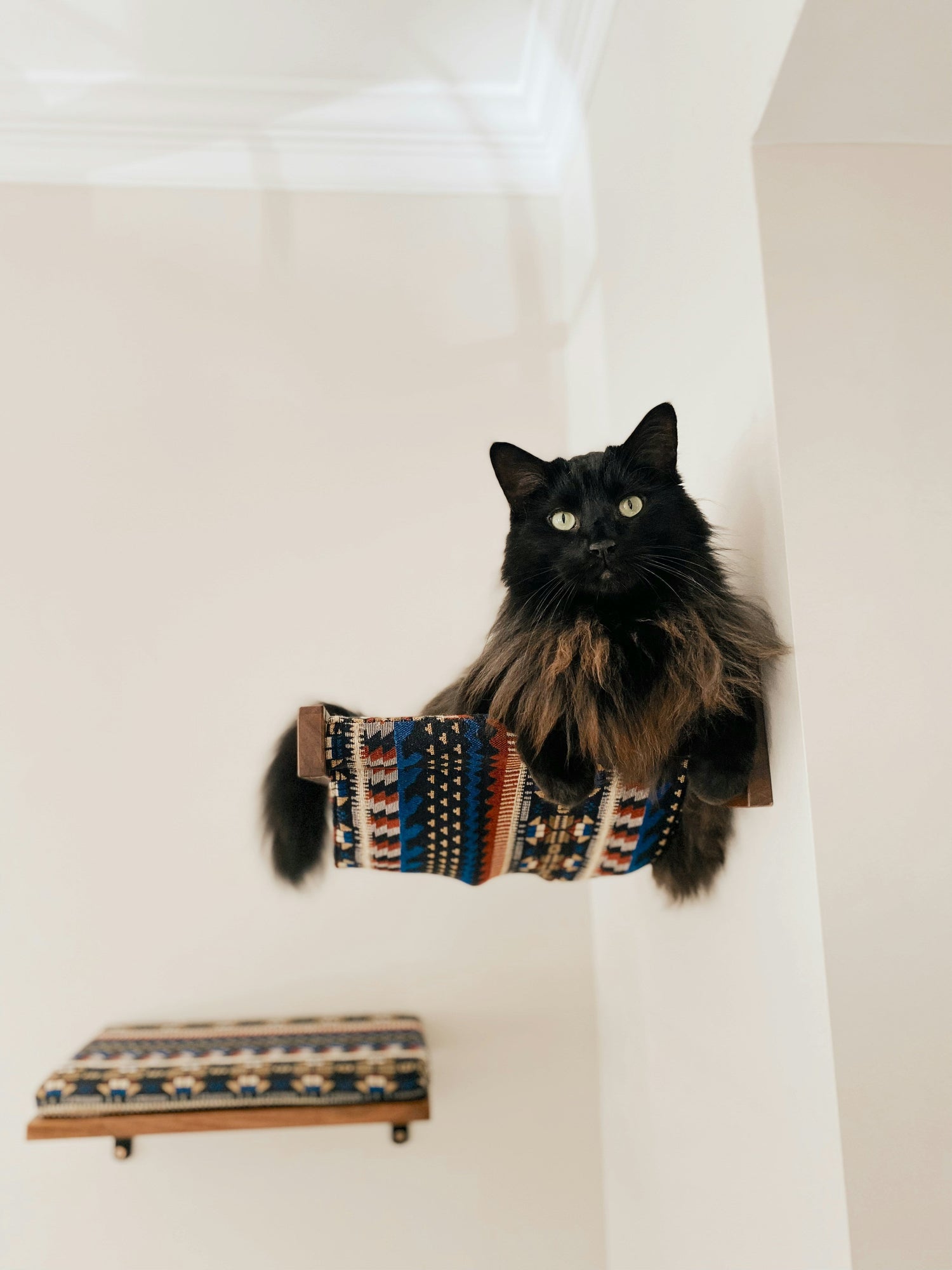 Dual-layer cat hammock for multi-cat households and playtime