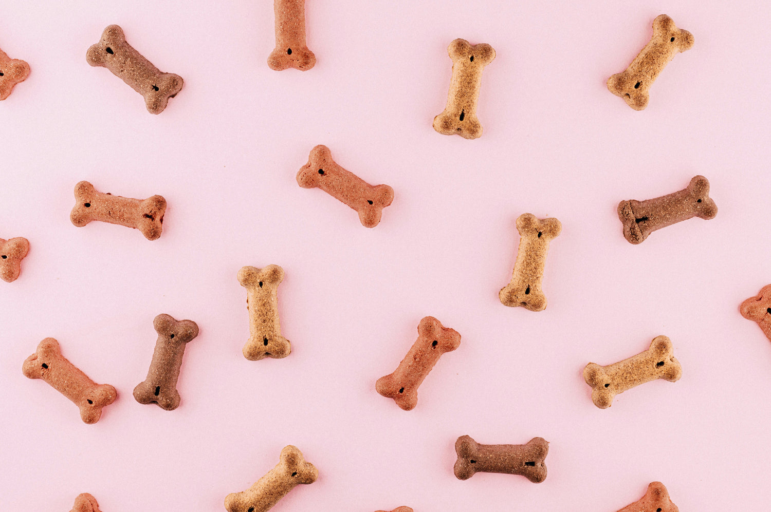Natural healthy dog treats made with real chicken and vegetables