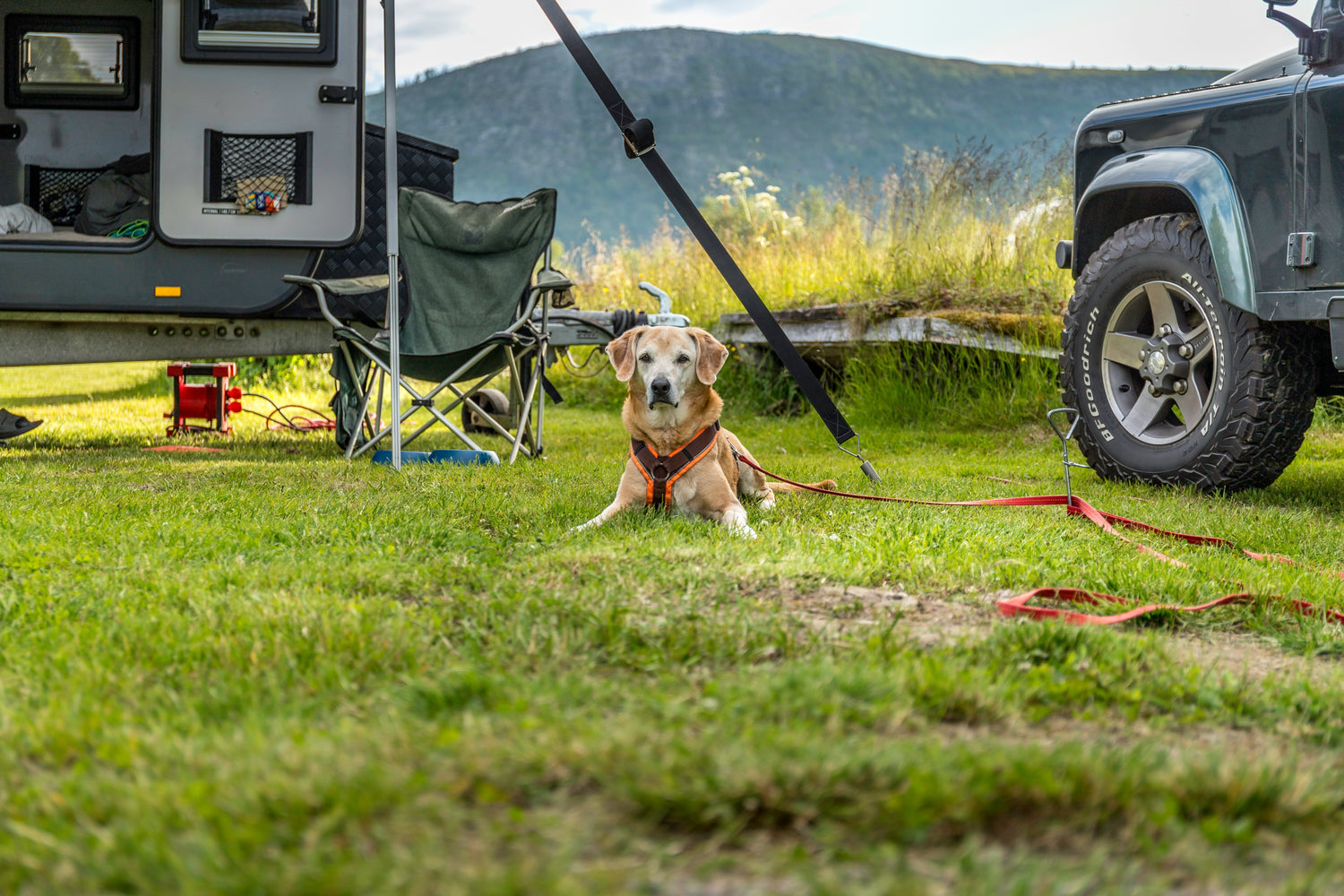 Portable dog camping bed with foldable aluminum frame for outdoor travel